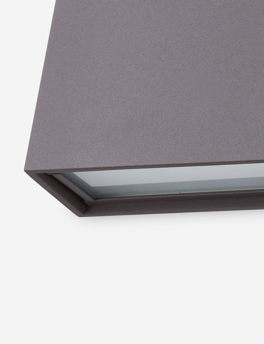 Aseem Outdoor Sconce